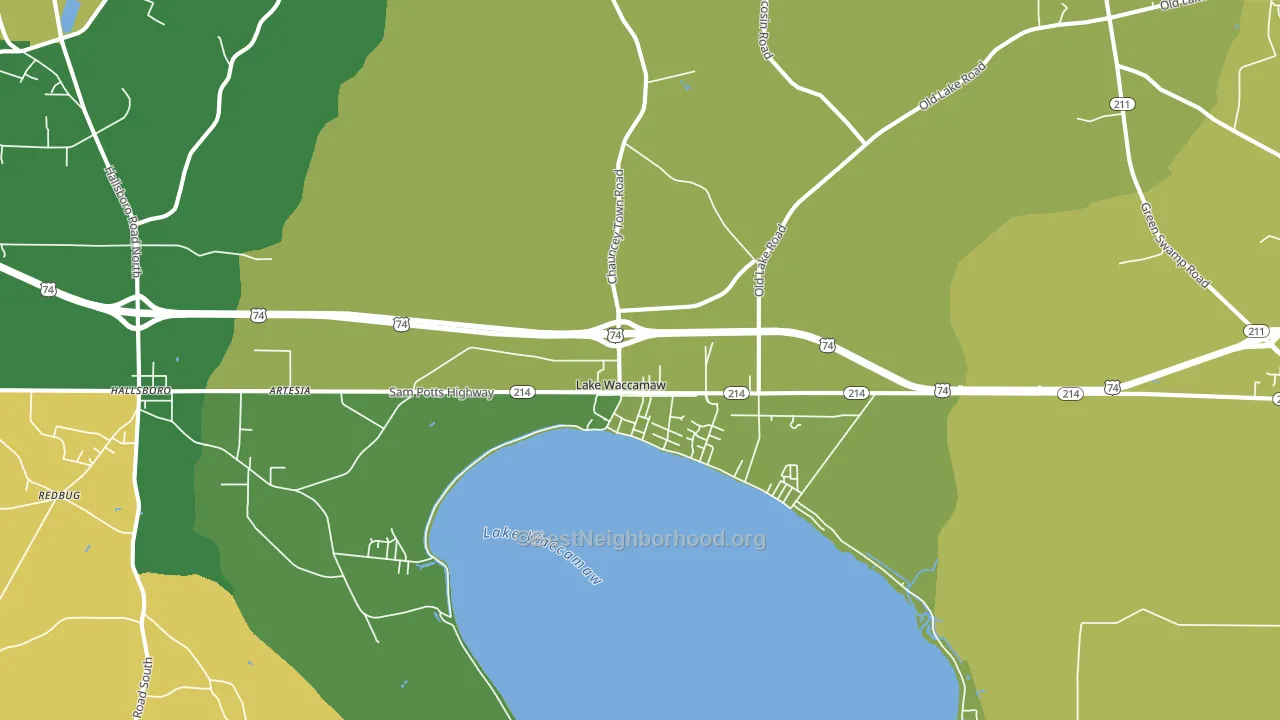 28450, NC block-group voter-turnout map