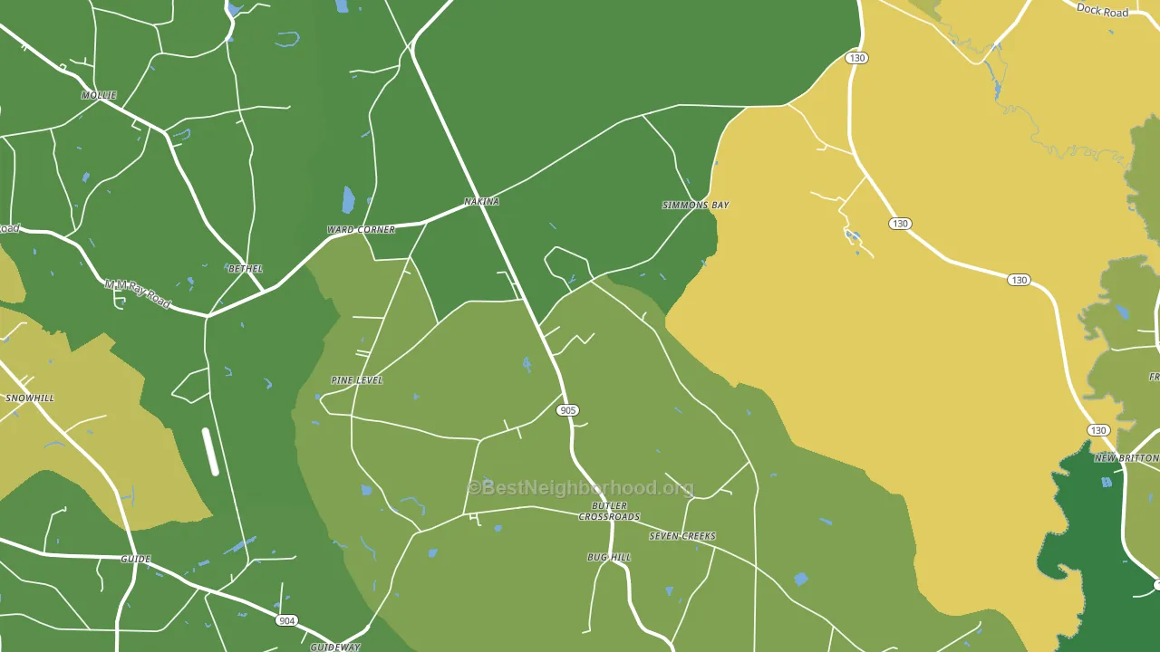 28455, NC block-group voter-turnout map