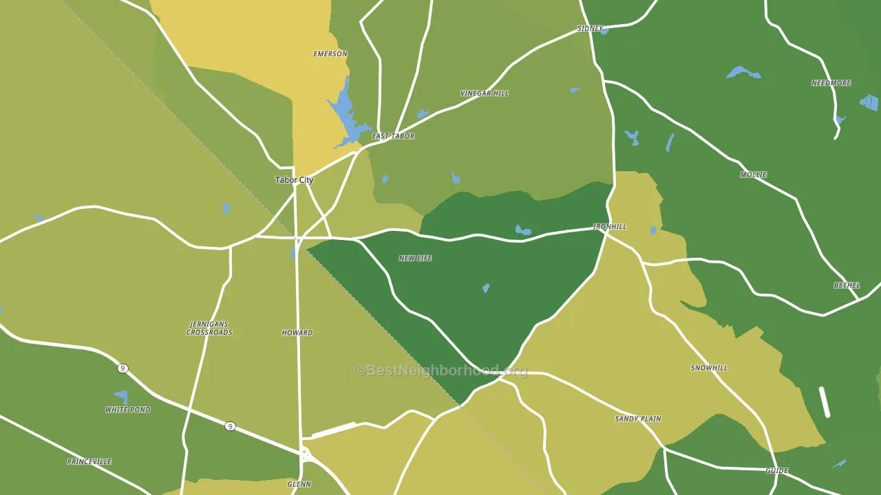 28463, NC block-group voter-turnout map