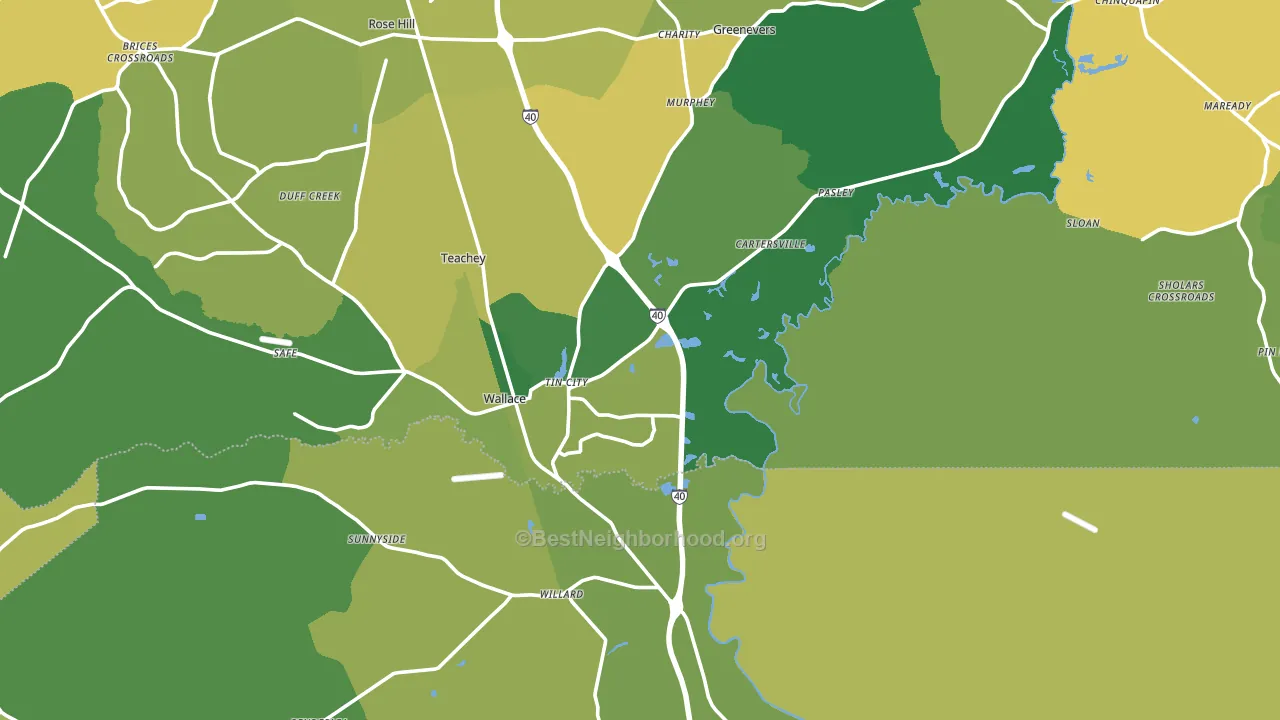 28466, NC block-group voter-turnout map