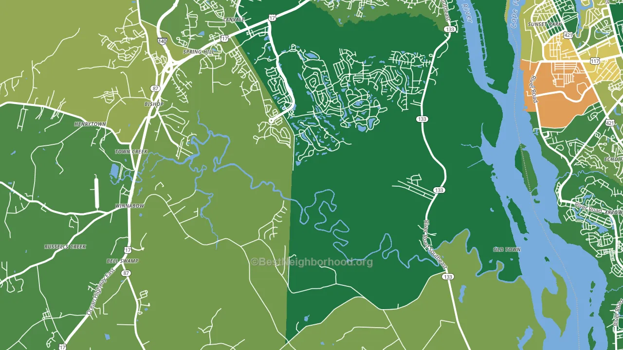 28479, NC block-group voter-turnout map