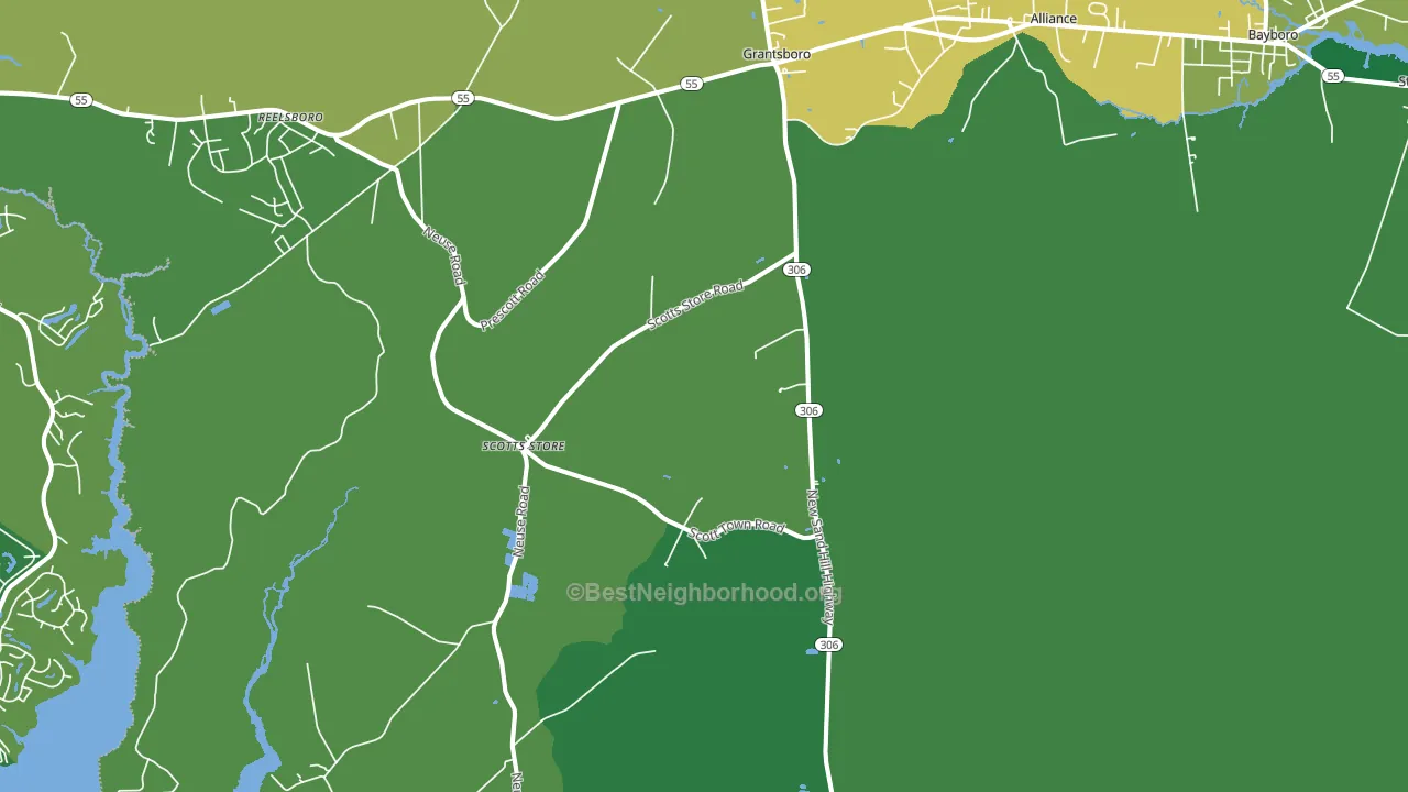 28529, NC block-group voter-turnout map