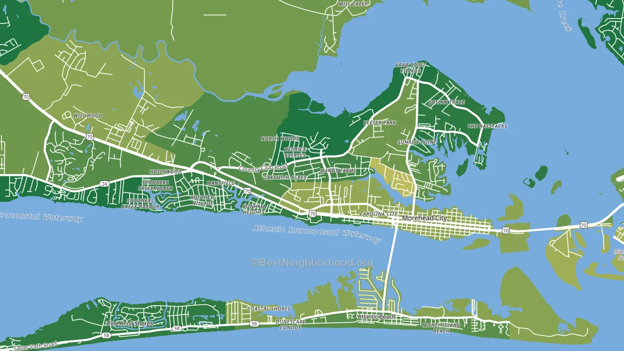 28557, NC block-group voter-turnout map