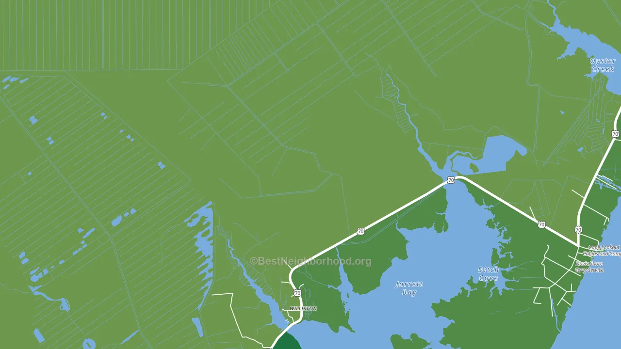 28589, NC block-group voter-turnout map