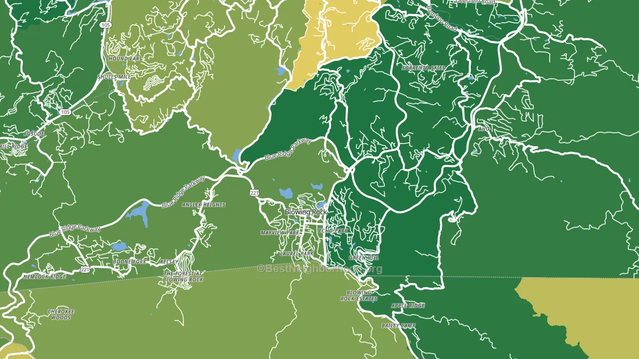 28605, NC block-group voter-turnout map