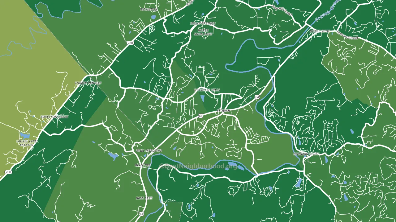 28729, NC block-group voter-turnout map