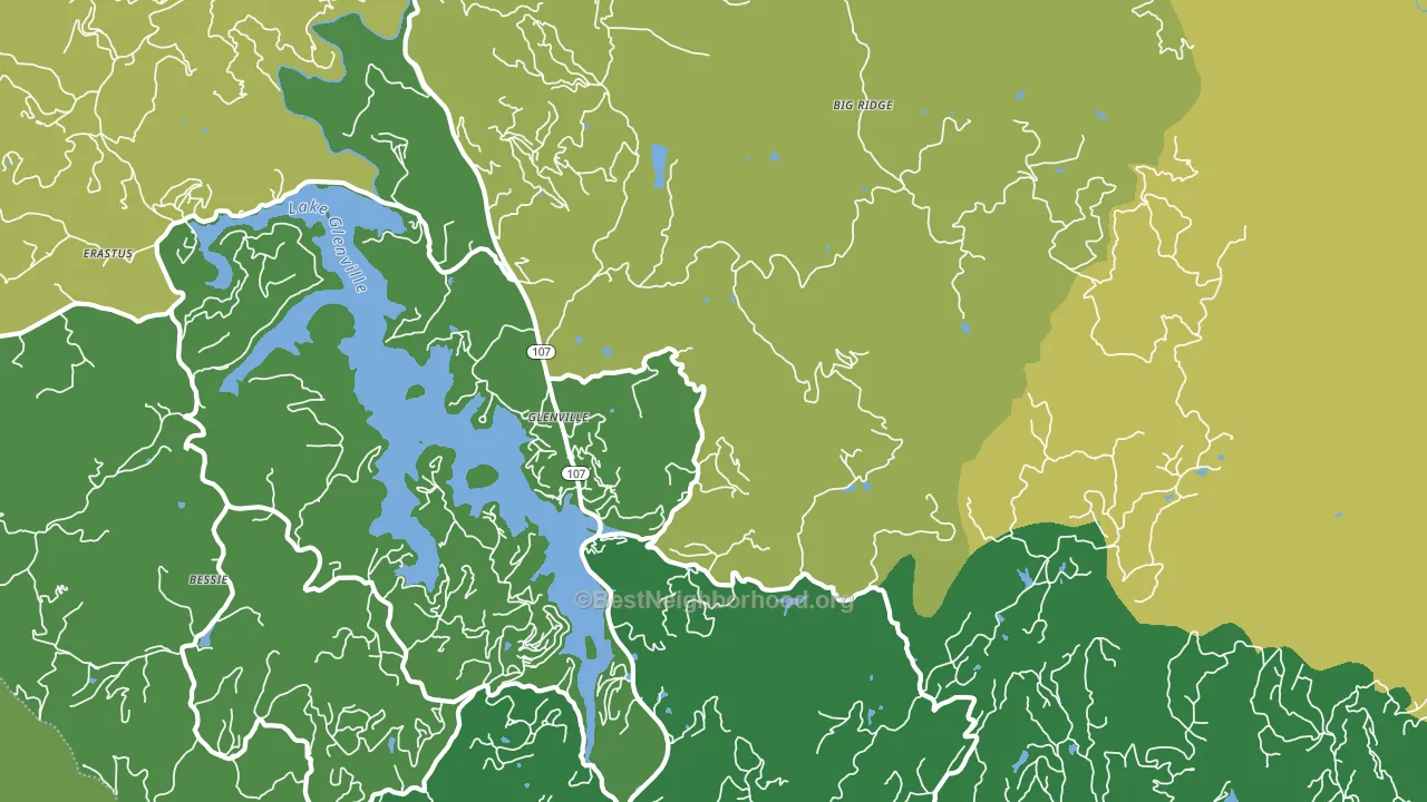 28736, NC block-group voter-turnout map
