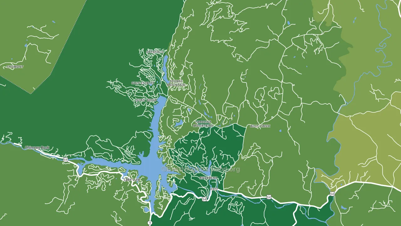 28746, NC block-group voter-turnout map