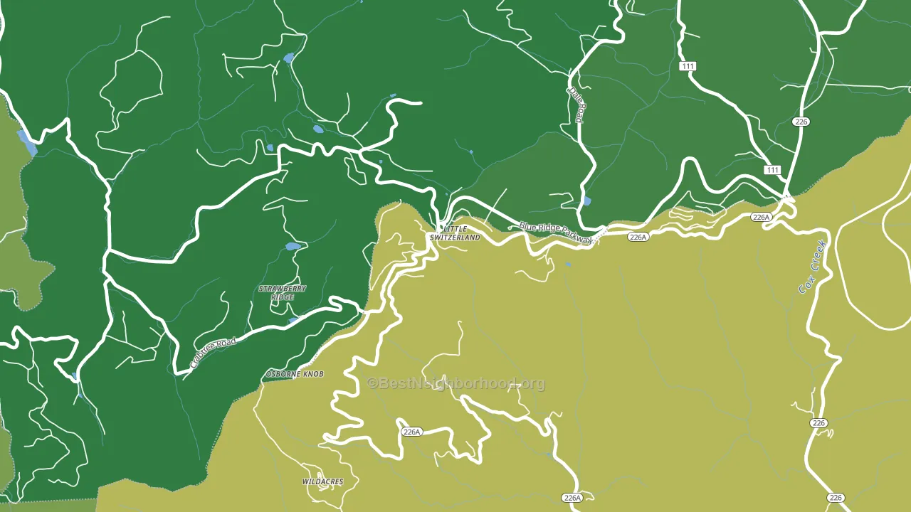28749, NC block-group voter-turnout map