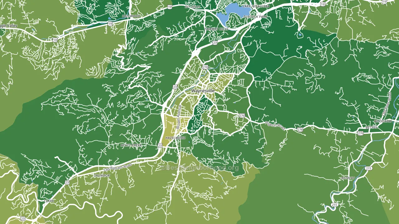 28786, NC block-group voter-turnout map