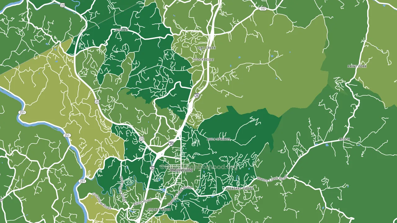28787, NC block-group voter-turnout map