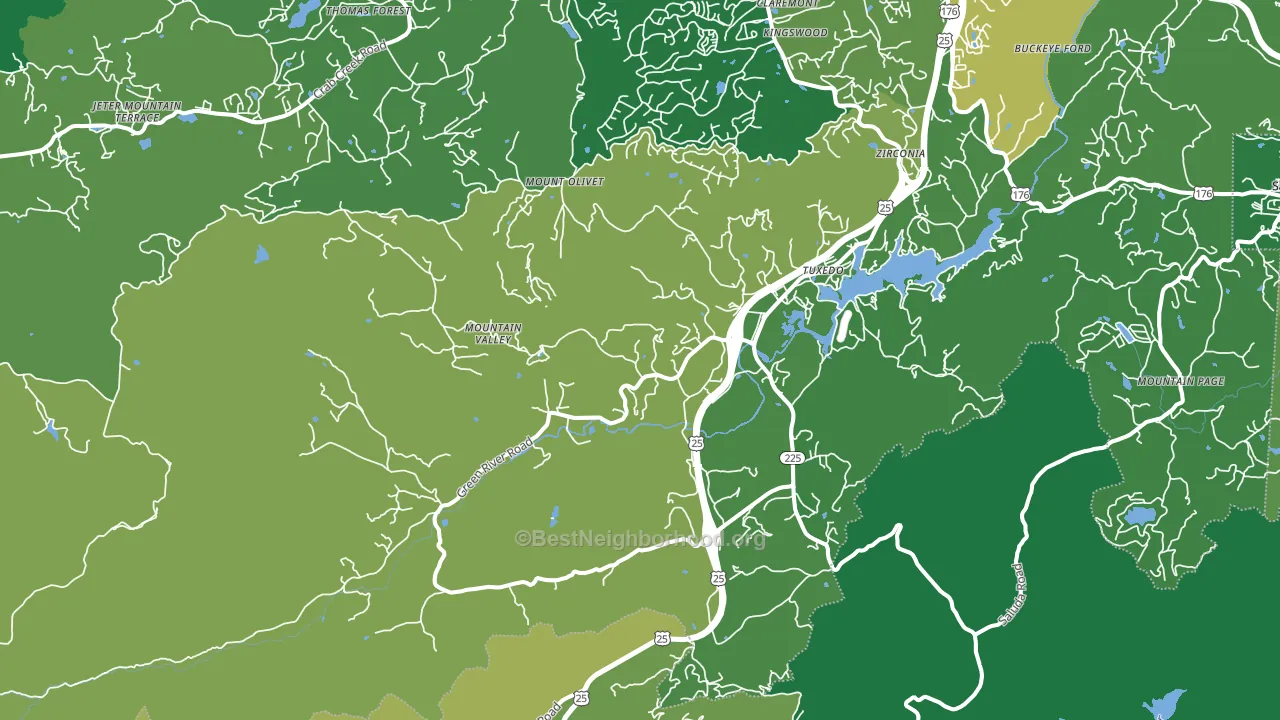 28790, NC block-group voter-turnout map