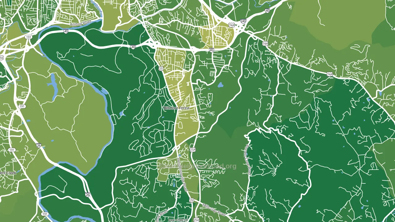 28803, NC block-group voter-turnout map