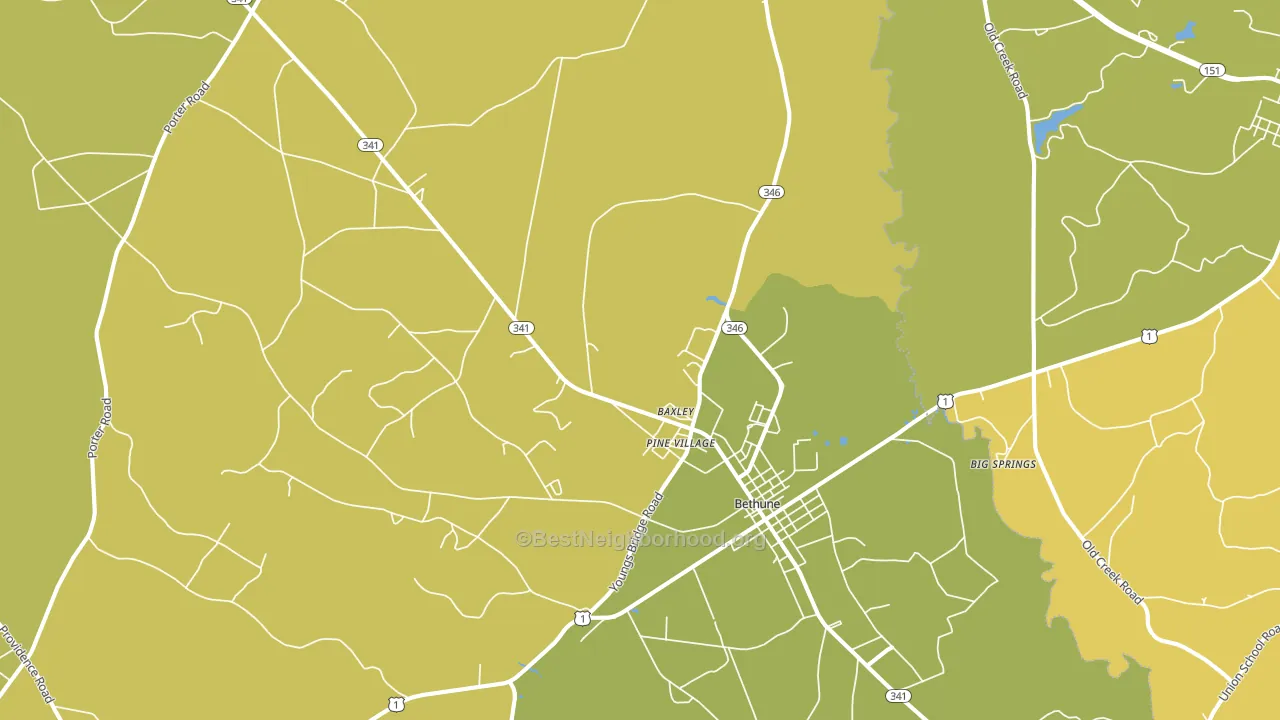 29009, SC block-group voter-turnout map