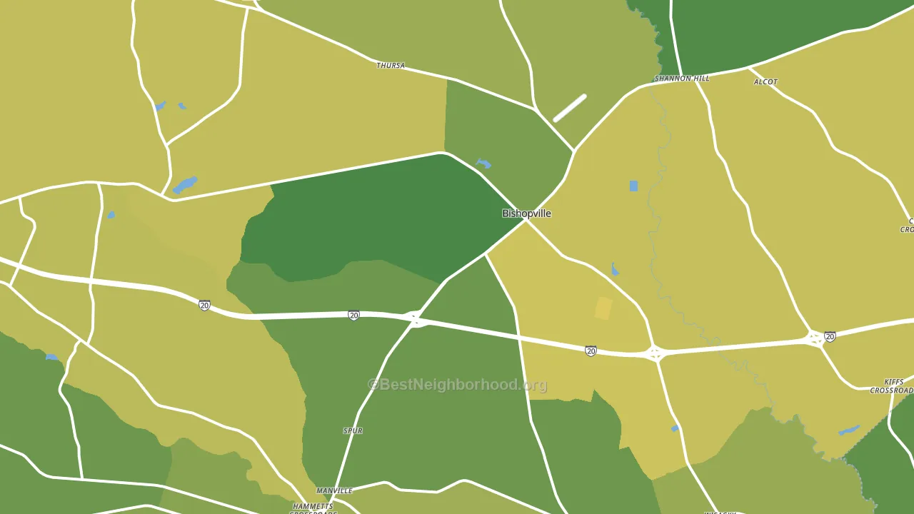 29010, SC block-group voter-turnout map