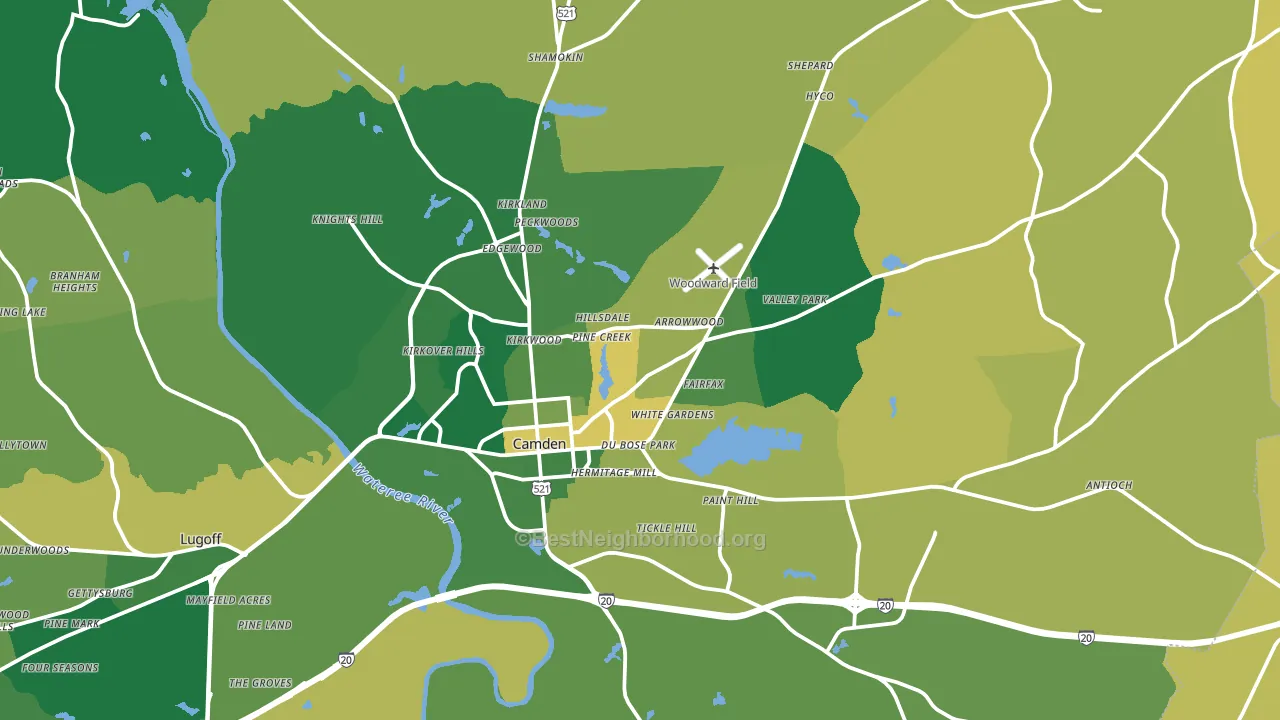 29020, SC block-group voter-turnout map