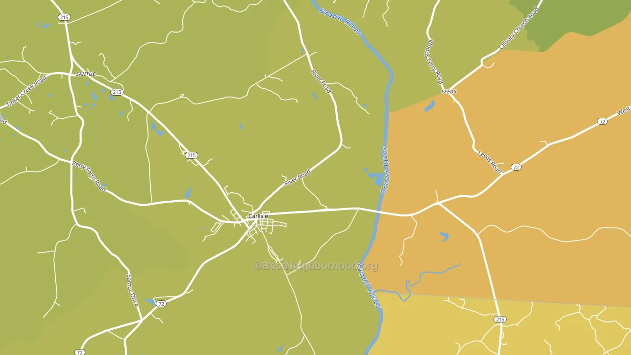 29031, SC block-group voter-turnout map