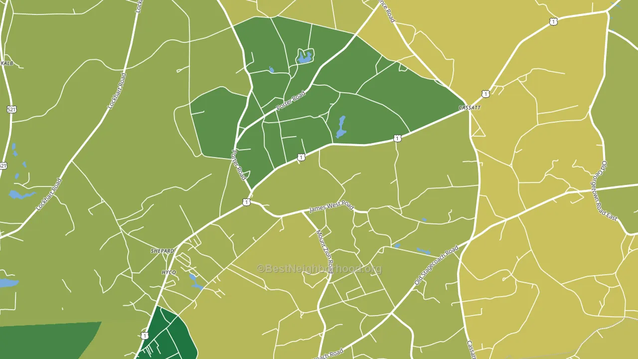 29032, SC block-group voter-turnout map