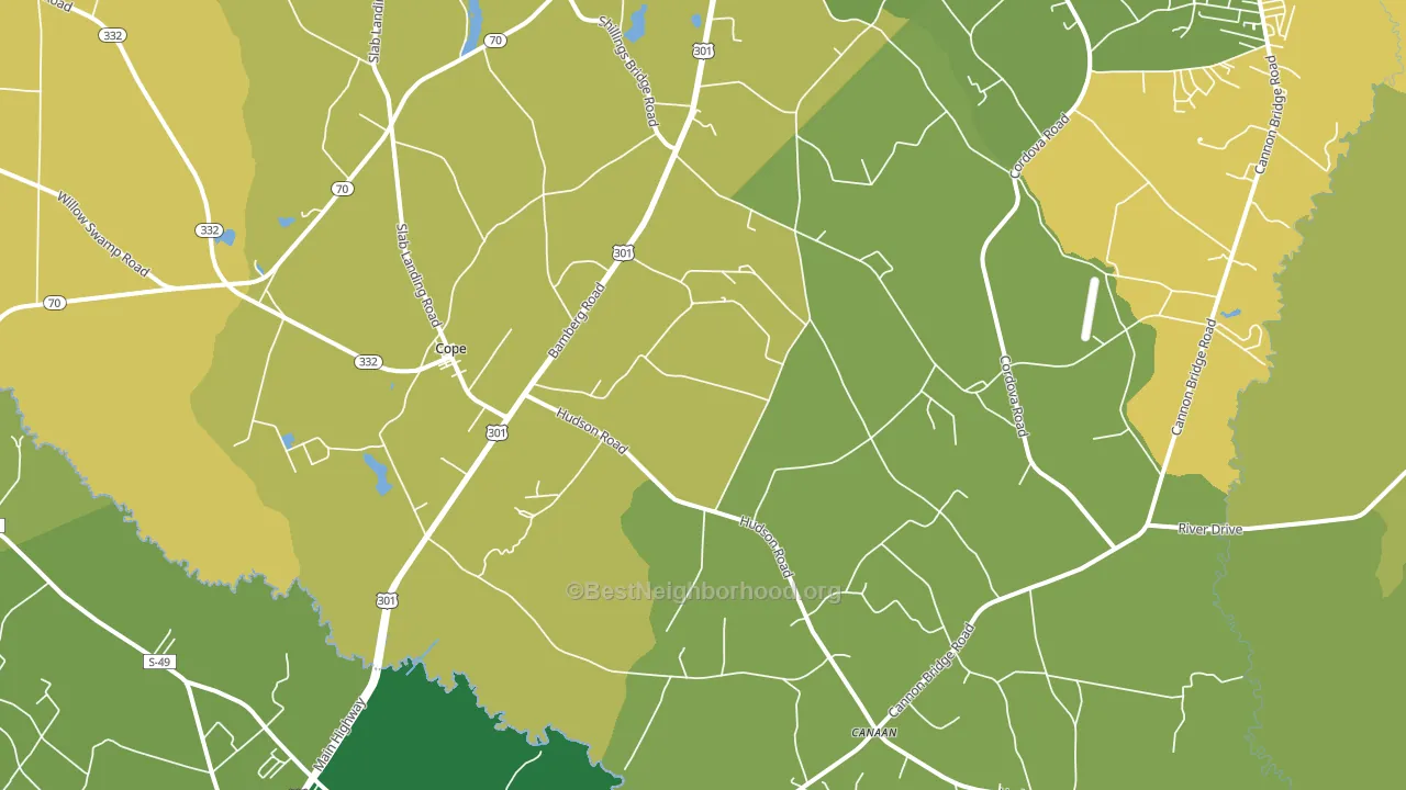 29038, SC block-group voter-turnout map