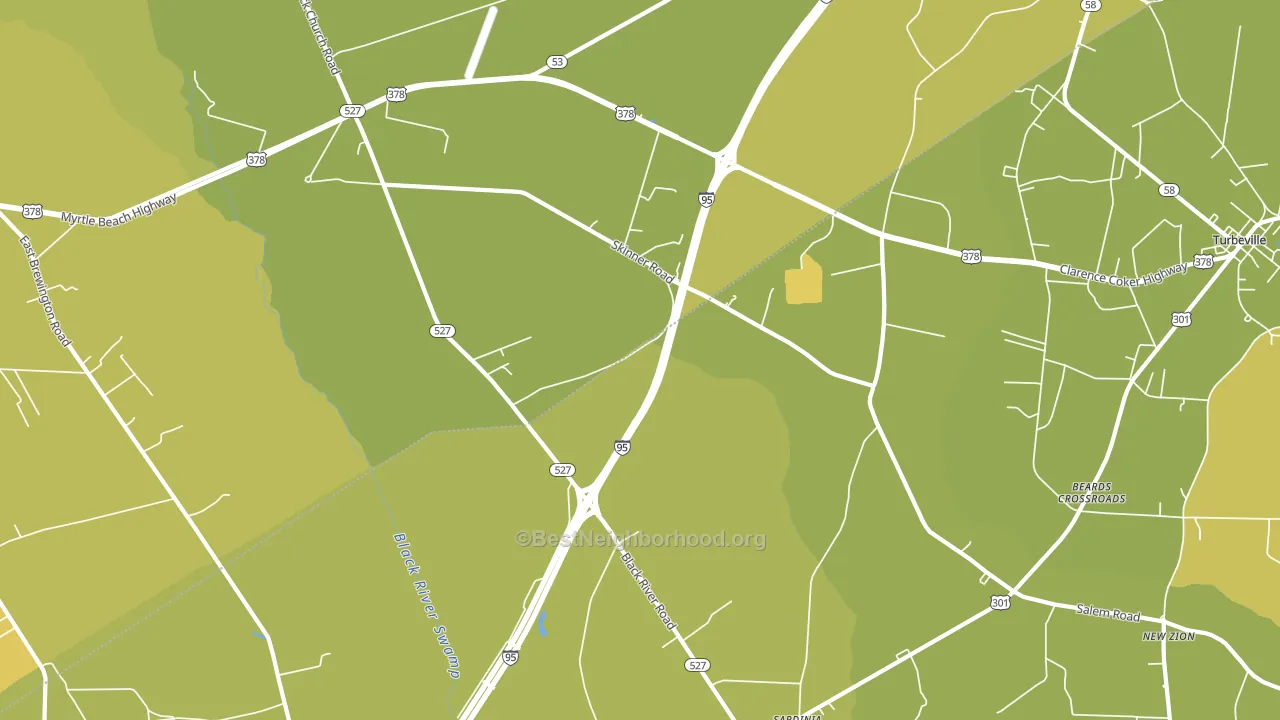 29051, SC block-group voter-turnout map