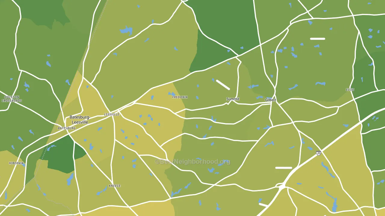 29070, SC block-group voter-turnout map