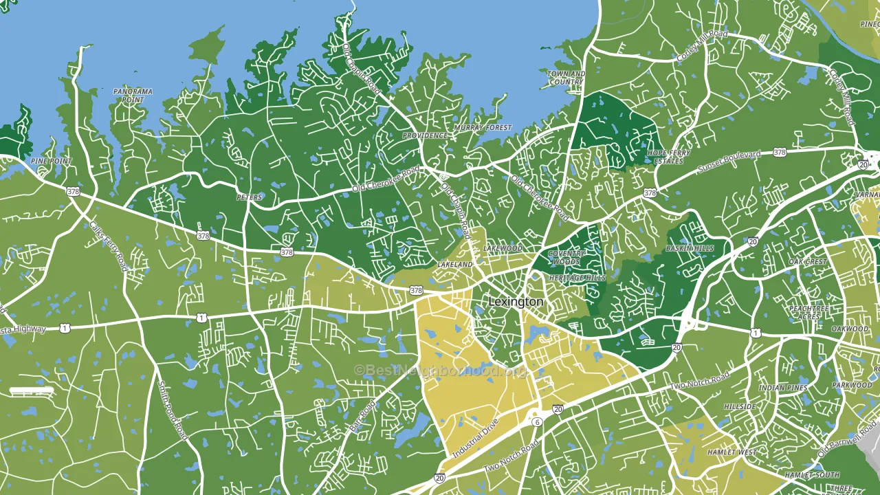 29072, SC block-group voter-turnout map