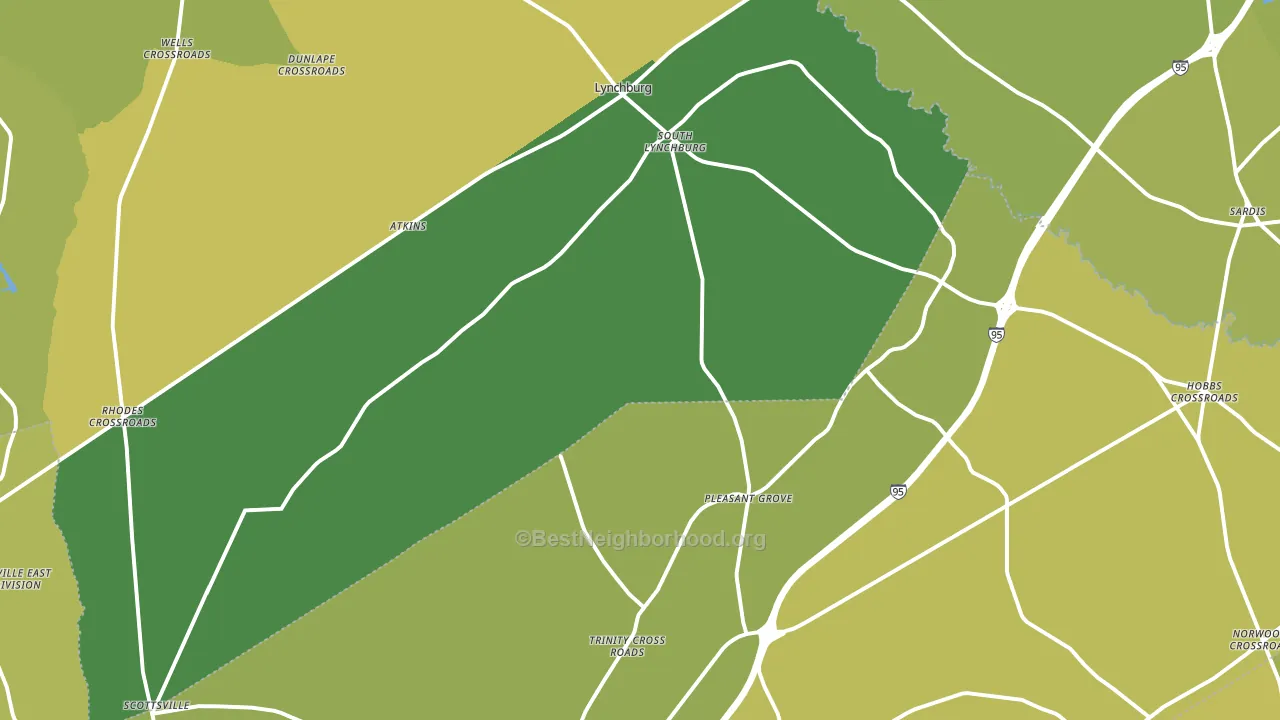 29080, SC block-group voter-turnout map
