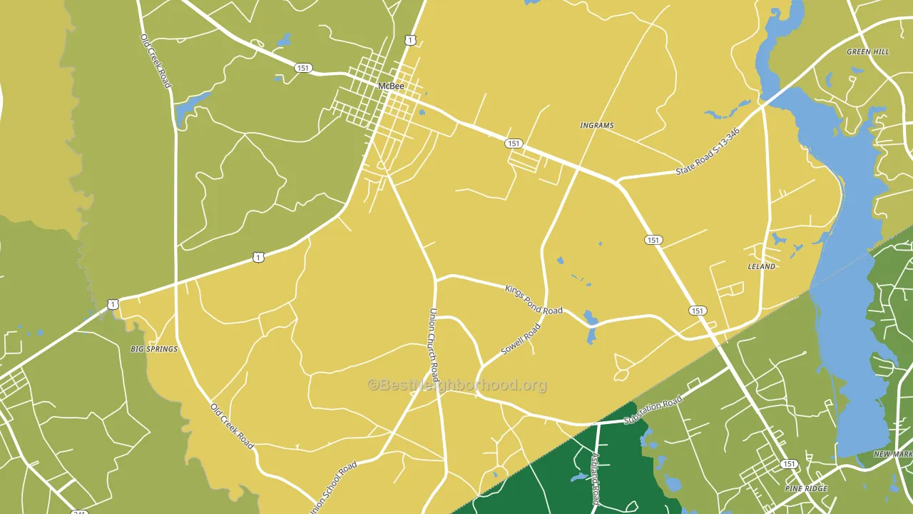 29101, SC block-group voter-turnout map