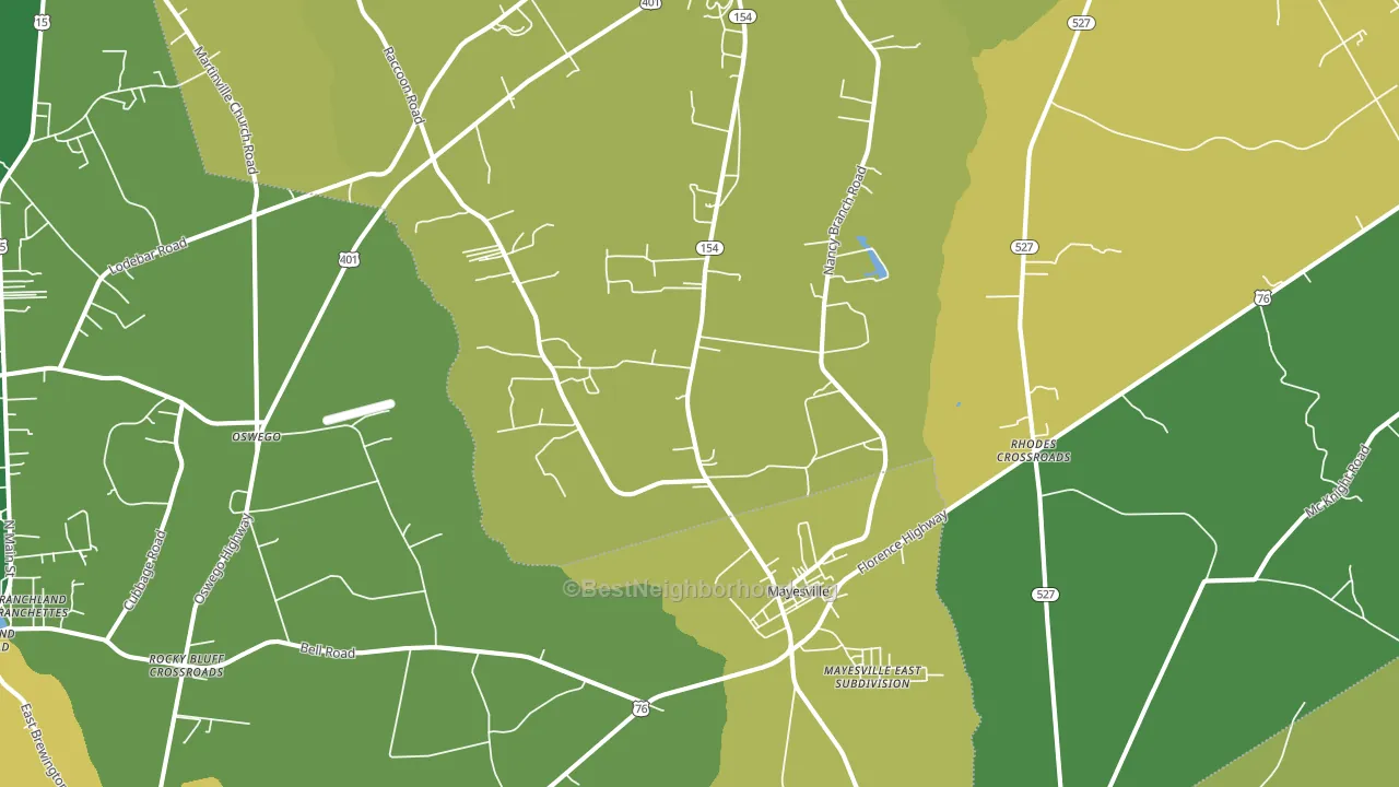 29104, SC block-group voter-turnout map