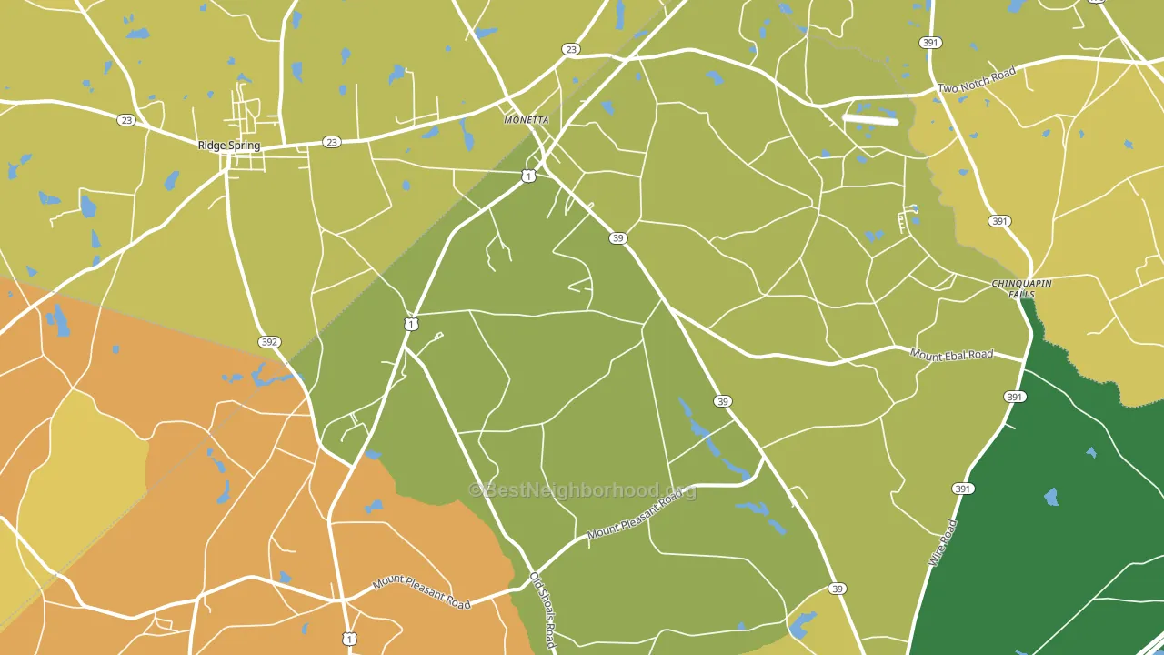29105, SC block-group voter-turnout map
