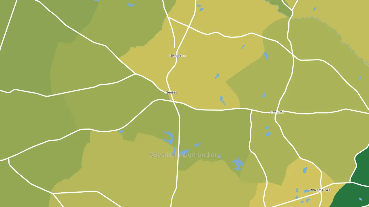 29107, SC block-group voter-turnout map