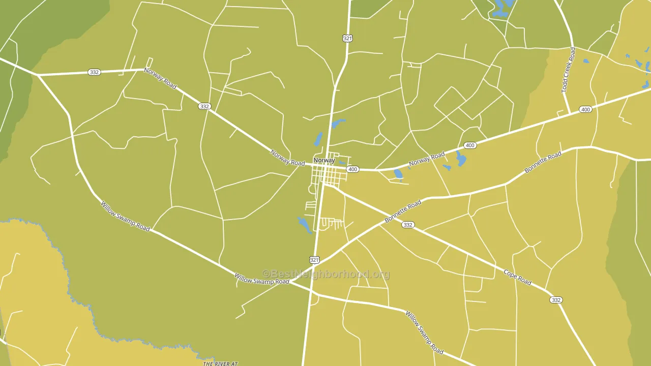 29113, SC block-group voter-turnout map