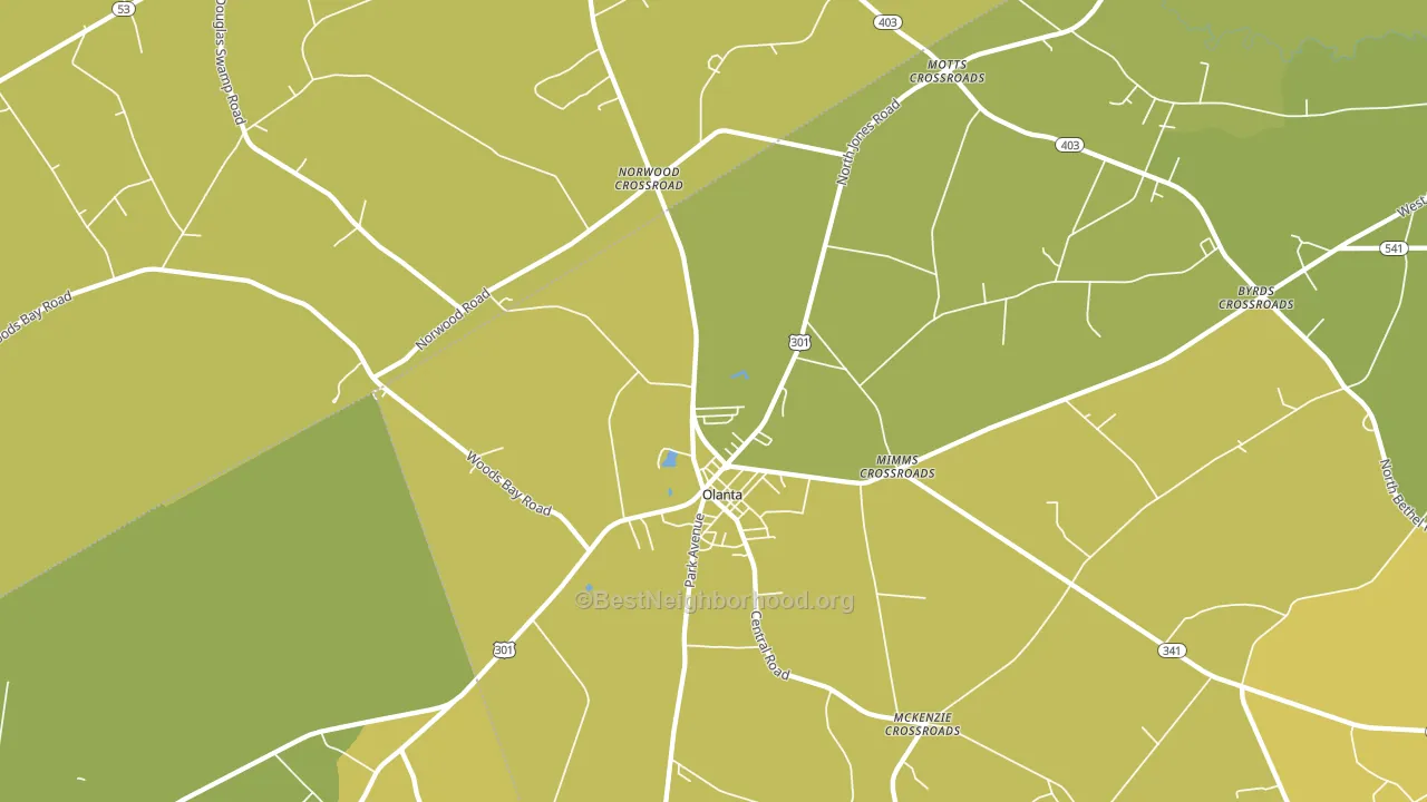 29114, SC block-group voter-turnout map