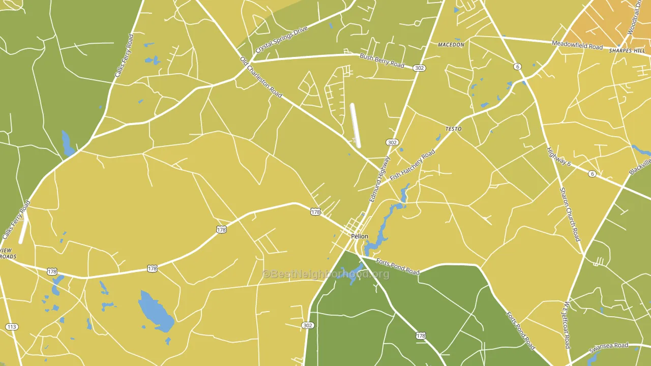 29123, SC block-group voter-turnout map