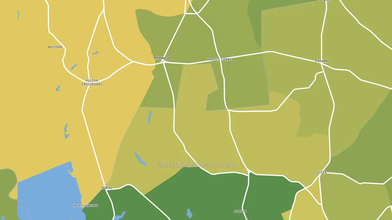 29125, SC block-group voter-turnout map