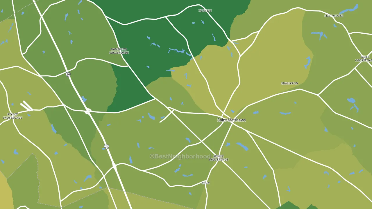 29135, SC block-group voter-turnout map