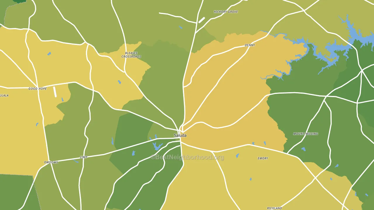 29138, SC block-group voter-turnout map