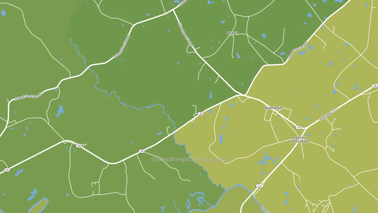 29145, SC block-group voter-turnout map