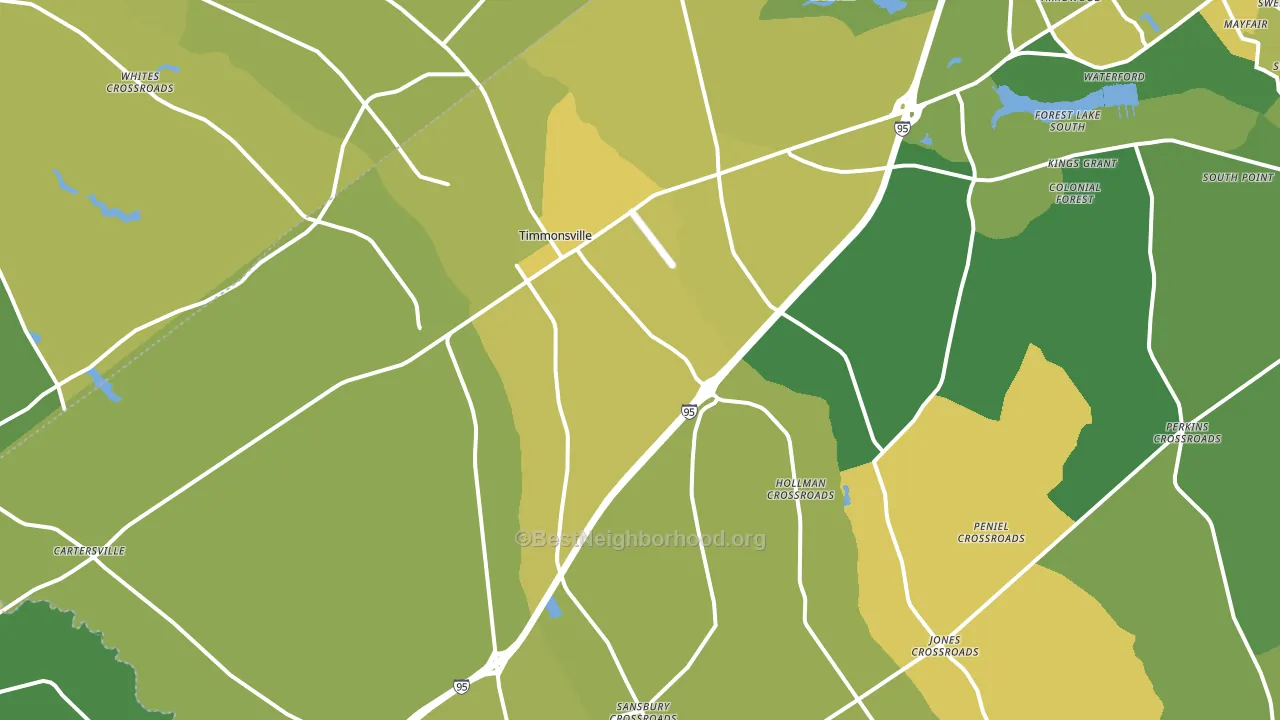 29161, SC block-group voter-turnout map