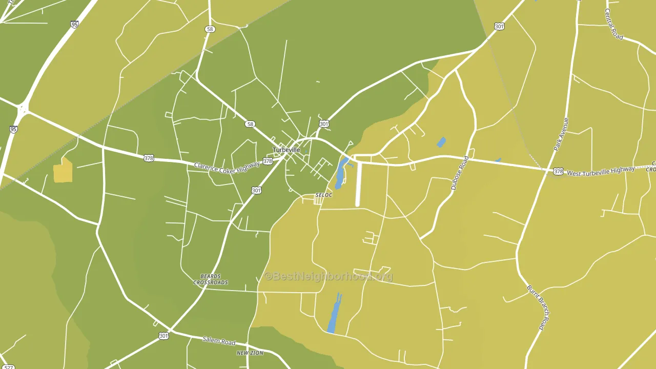 29162, SC block-group voter-turnout map