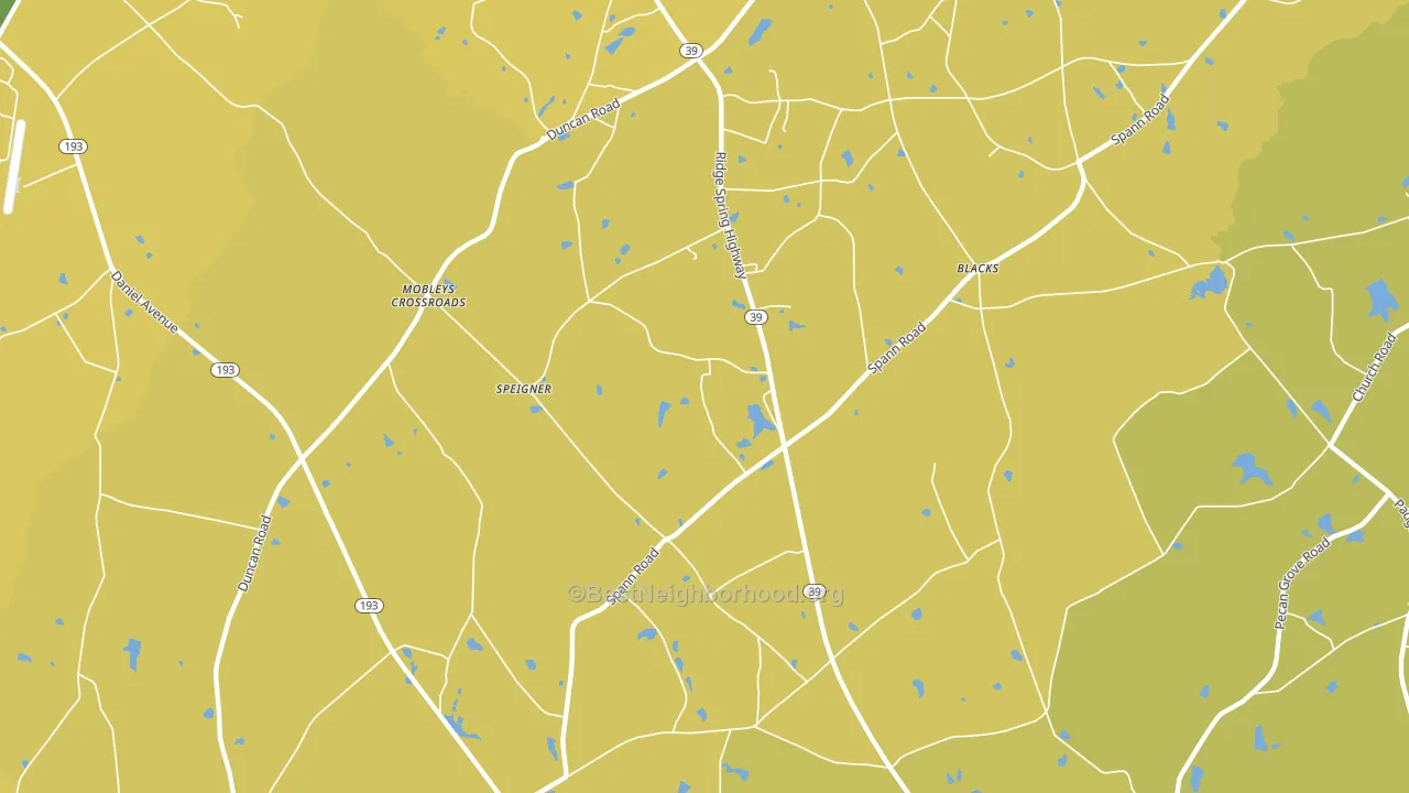 29166, SC block-group voter-turnout map