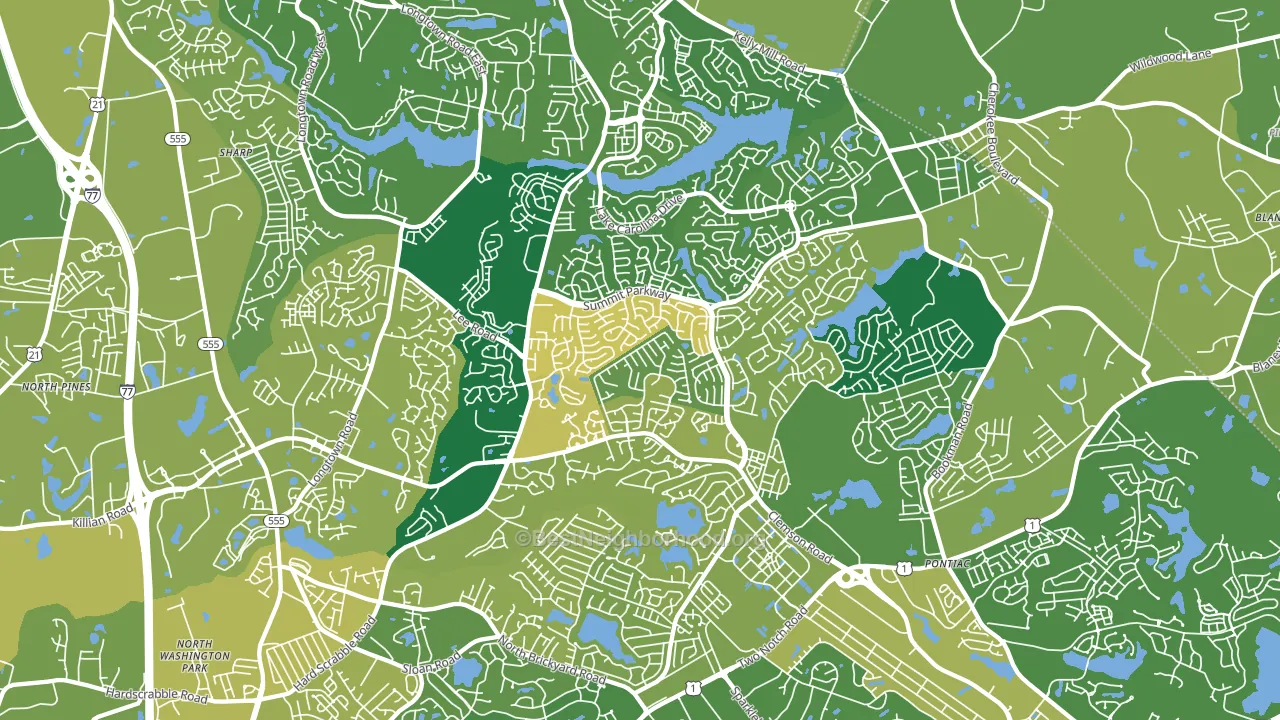 29229, SC block-group voter-turnout map
