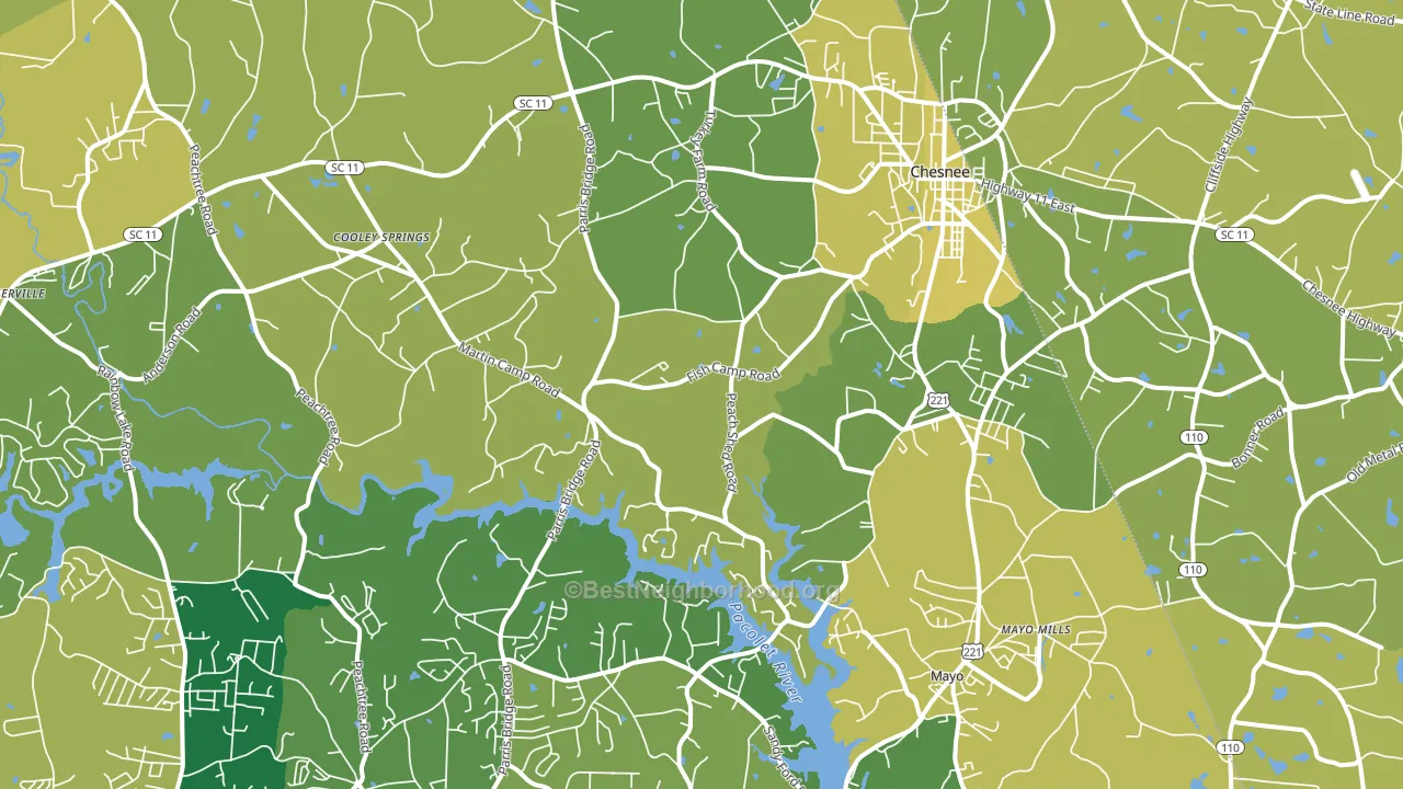 29323, SC block-group voter-turnout map