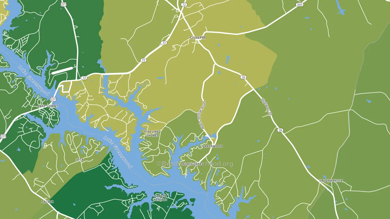 29332, SC block-group voter-turnout map