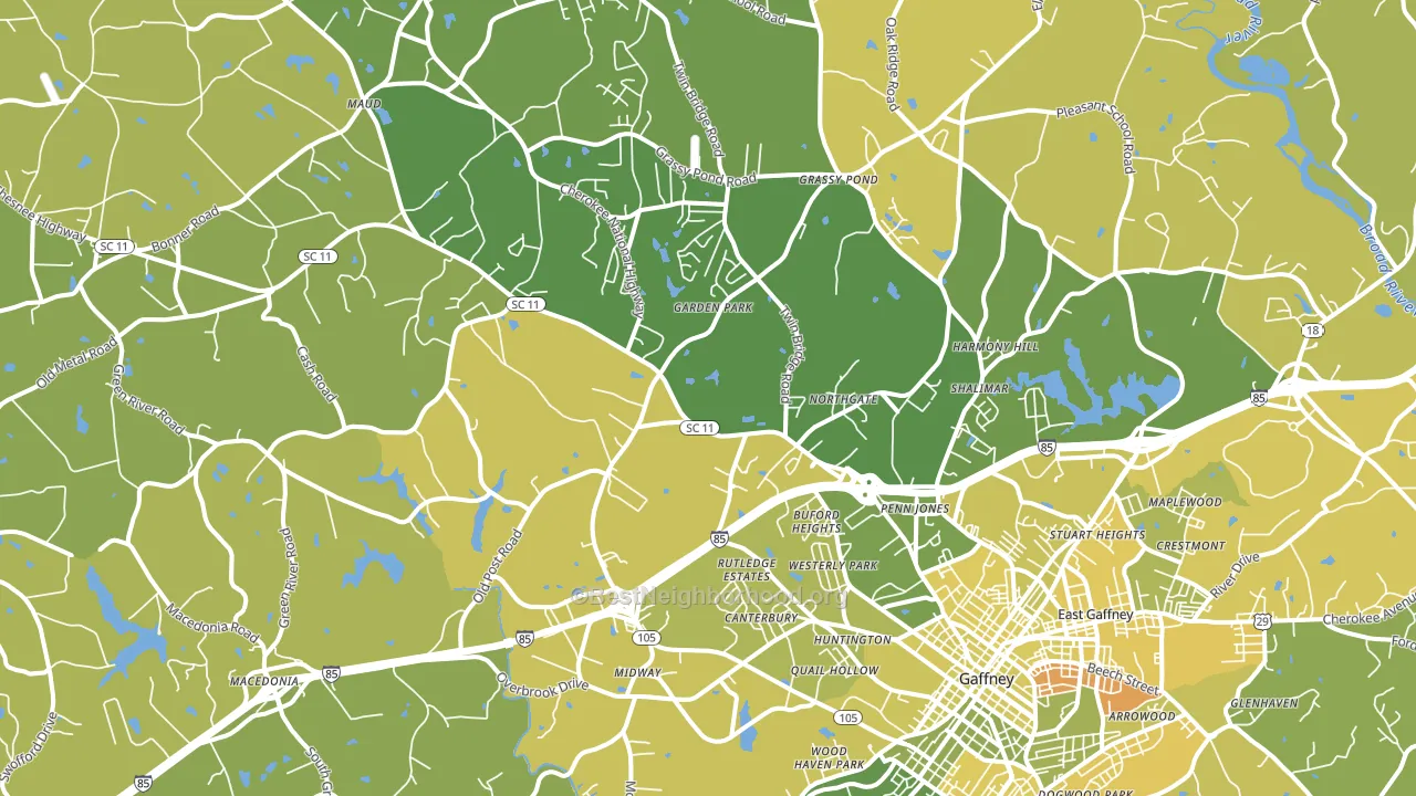 29341, SC block-group voter-turnout map