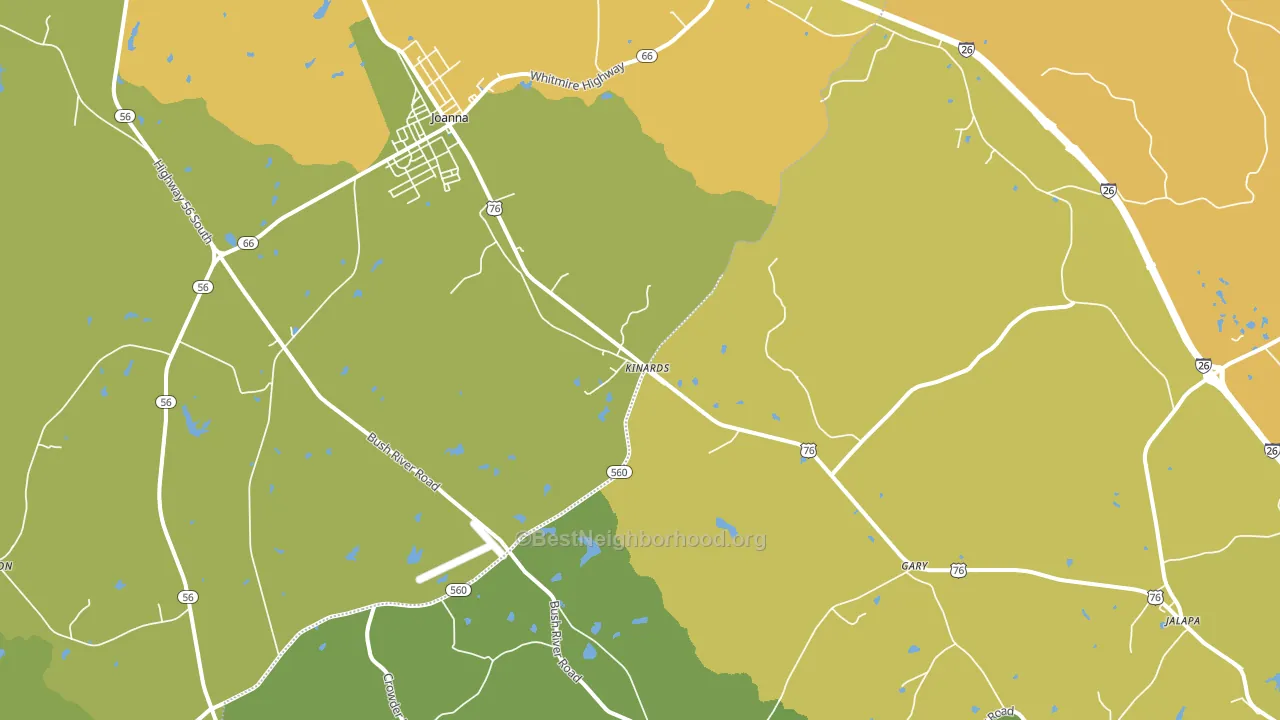 29355, SC block-group voter-turnout map
