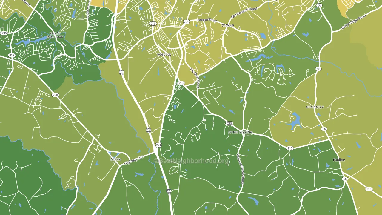 29376, SC block-group voter-turnout map