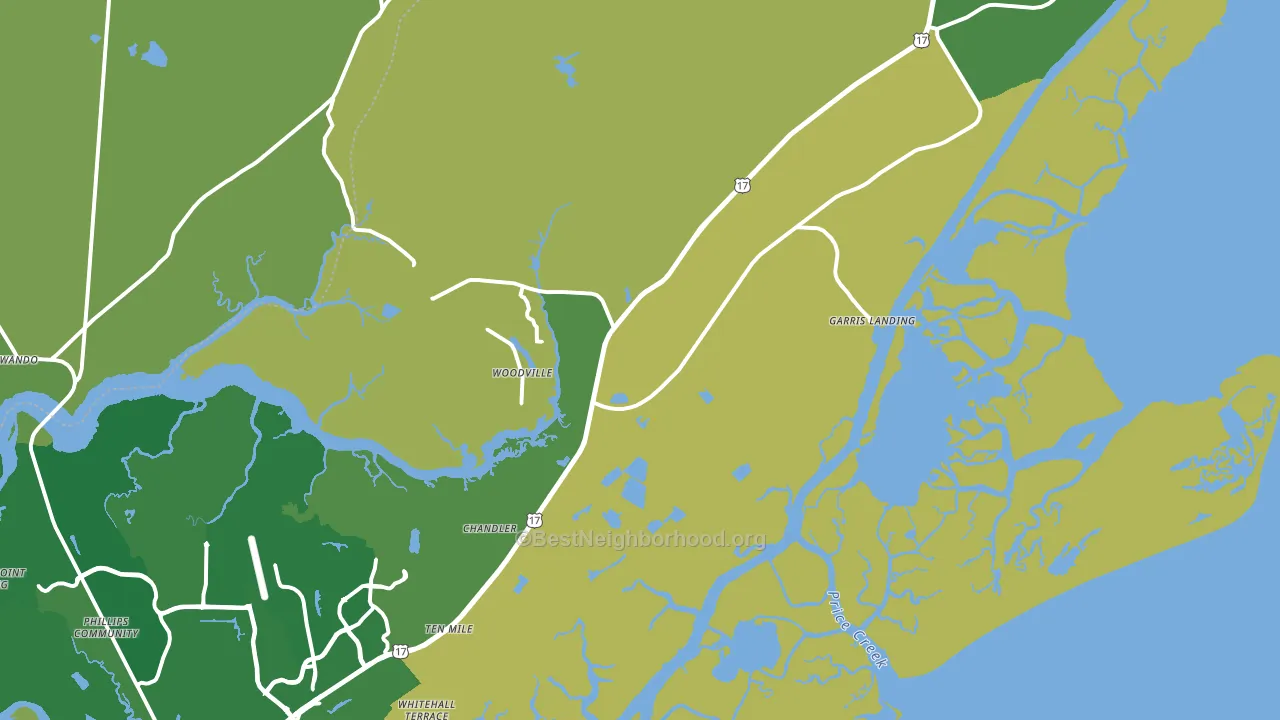 29429, SC block-group voter-turnout map