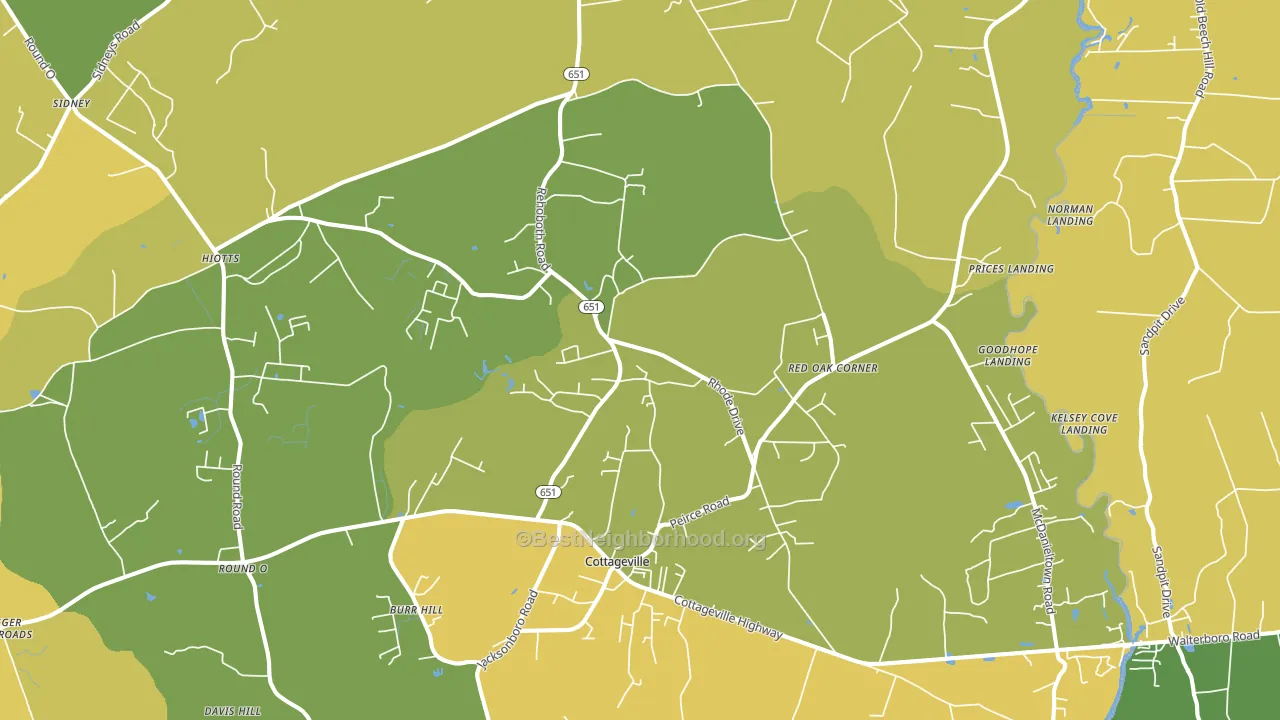 29435, SC block-group voter-turnout map