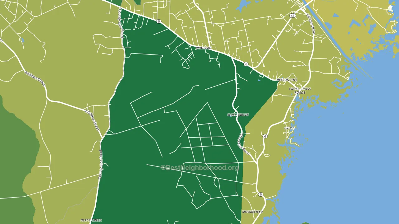 29436, SC block-group voter-turnout map
